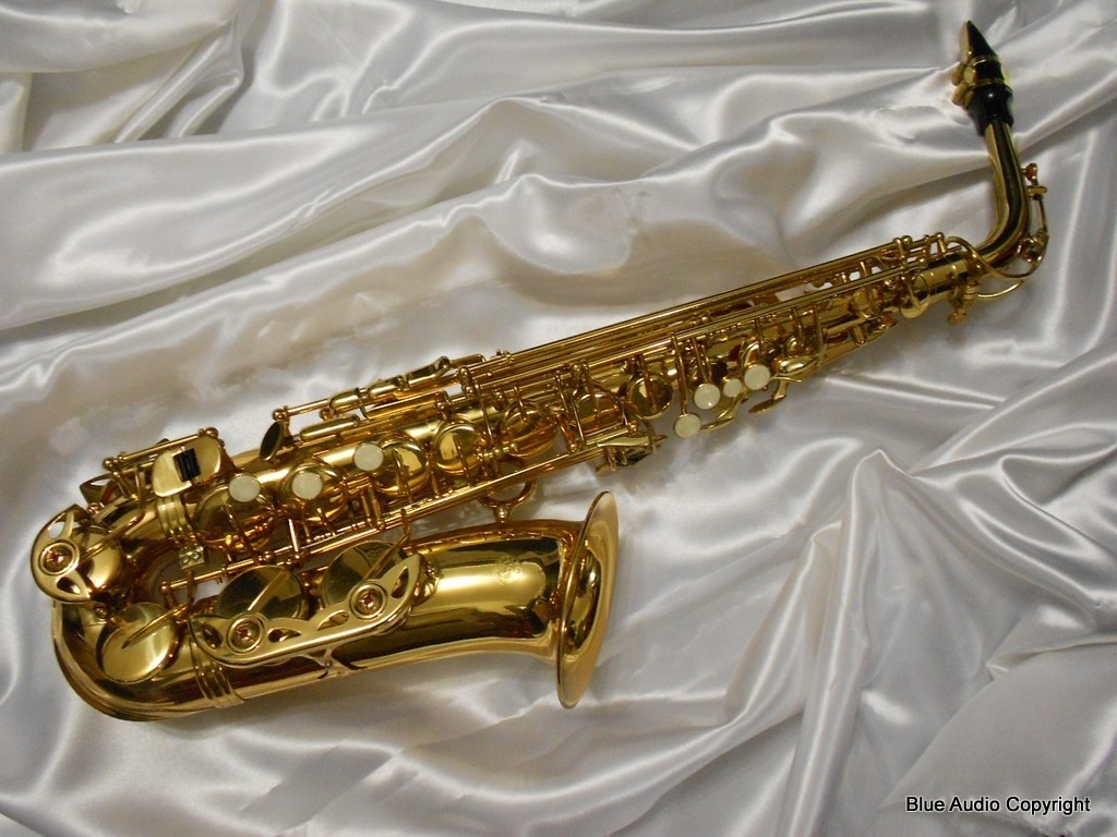 PEARL RIVER Sax Contralto Pro SPARK  completo di custodia rigida