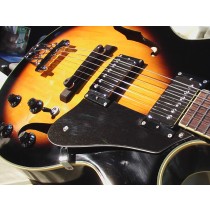EPIPHONE Chitarra Semiacustica  EPI ES-175 VS