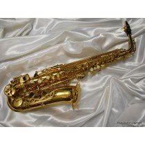 PEARL RIVER Sax Contralto Pro SPARK  completo di custodia rigida